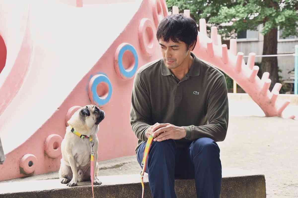 まだ結婚できない男の「パグ」が人気　犬だけど「演技力」がスゴい！