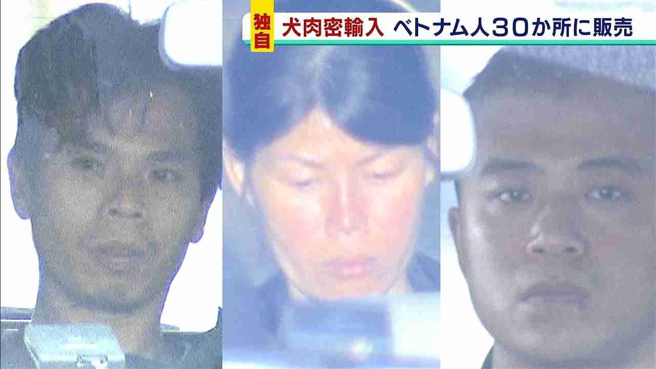 『犬の肉』密輸でベトナムの男女３人逮捕…日本国内の食材店など３０か所に販売か（MBSニュース） - Yahoo!ニュース