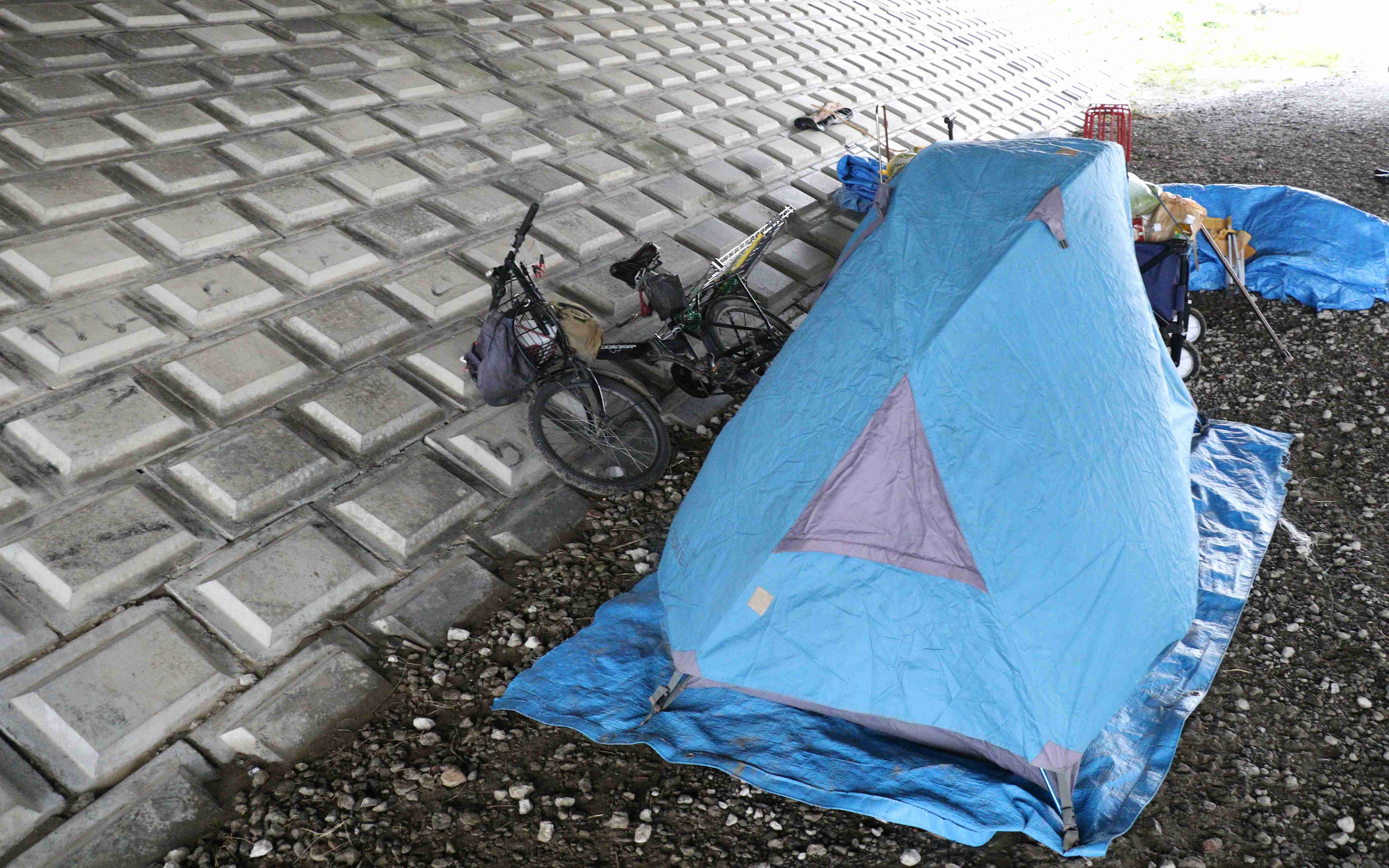 台風被害の多摩川河川敷のホームレス男性「避難所に行ったらゴミ扱いされる。だったら……」 | 文春オンライン