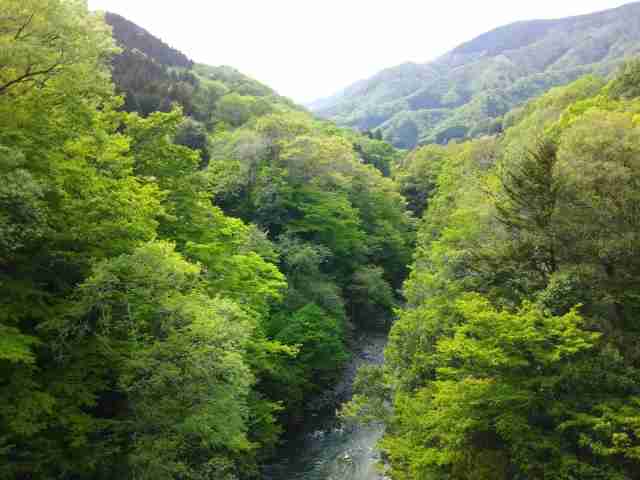 小倉美咲ちゃん行方不明　山梨県警に落ち度はなかったのか直撃電話取材　母親の奇妙な投稿についても (2019年10月9日) - エキサイトニュース
