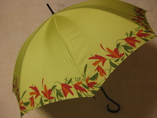 傘、どんなの使ってますか