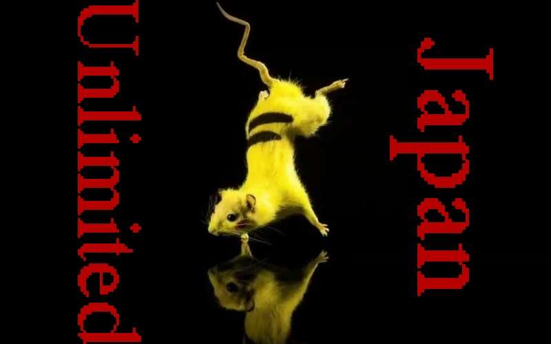 「ジャパン・アンリミテッド」は丸ごと反日プロパガンダ展なのか…!?  |  俺録。