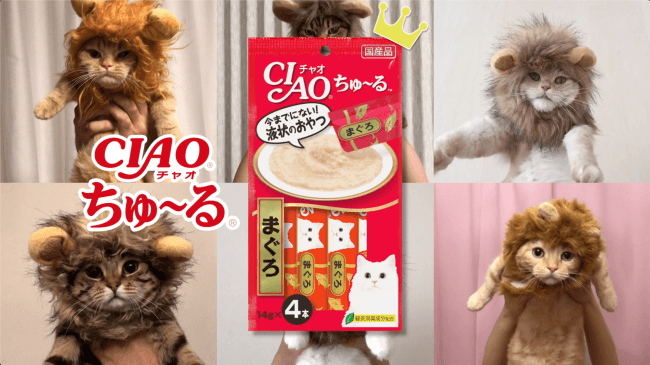 猫科の動物貼るトピ