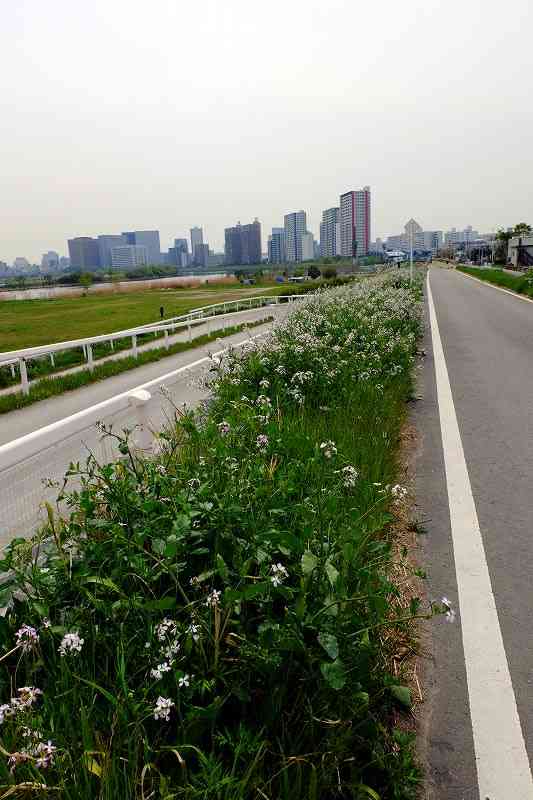 行動すれば縁が生まれる(^_^.) - アスリート　未来にむかって走る