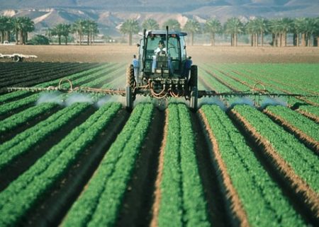 中国産はダメ、国産野菜を選択するという人へ。 もはや日本の農薬規制緩和は中国産野菜の残留農薬どころではありません