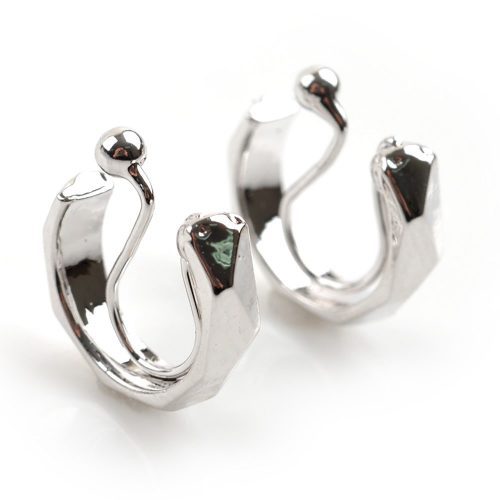 ピアス？イヤリング？