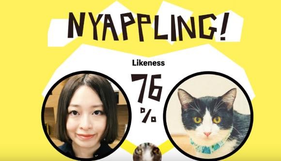 自分に似ている猫を紹介してくれる、猫マッチングアプリ「NYAPPLING(ニャップリング)」が登場