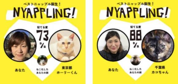 自分に似ている猫を紹介してくれる、猫マッチングアプリ「NYAPPLING(ニャップリング)」が登場