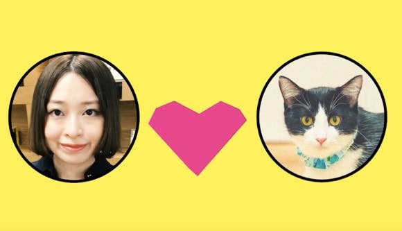 自分に似ている猫を紹介してくれる、猫マッチングアプリ「NYAPPLING(ニャップリング)」が登場 : カラパイア