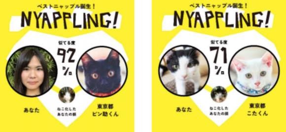 自分に似ている猫を紹介してくれる、猫マッチングアプリ「NYAPPLING(ニャップリング)」が登場
