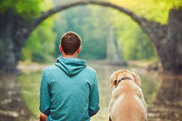 殺処分のない「ペット天国」ドイツ、「犬税」にみる犬と社会のよりよい関係 - 税理士ドットコム