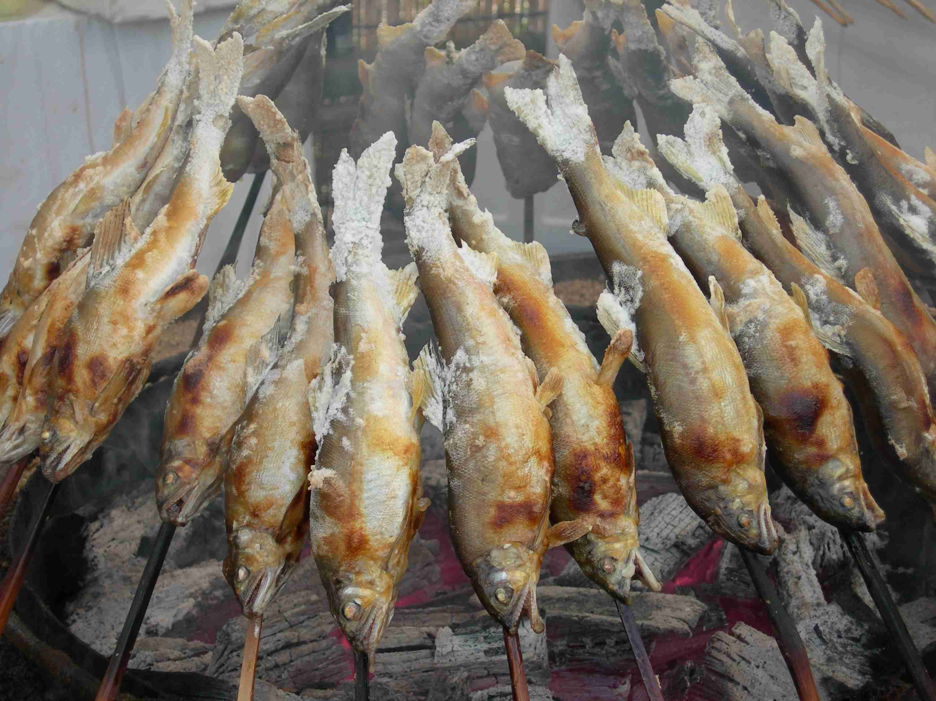 調味料は塩のみで出来るおいしい料理