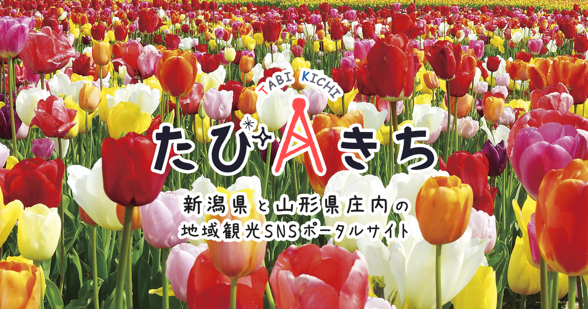 たびきち - 新潟県と山形県庄内の地域観光SNSポータルサイト | tabi-kichi