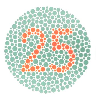 アラフォーで経験者が多そうなこと