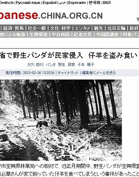 「パンダが子羊を食った」に衝撃　専門家「肉食まったく不思議ではない」 : J-CASTニュース