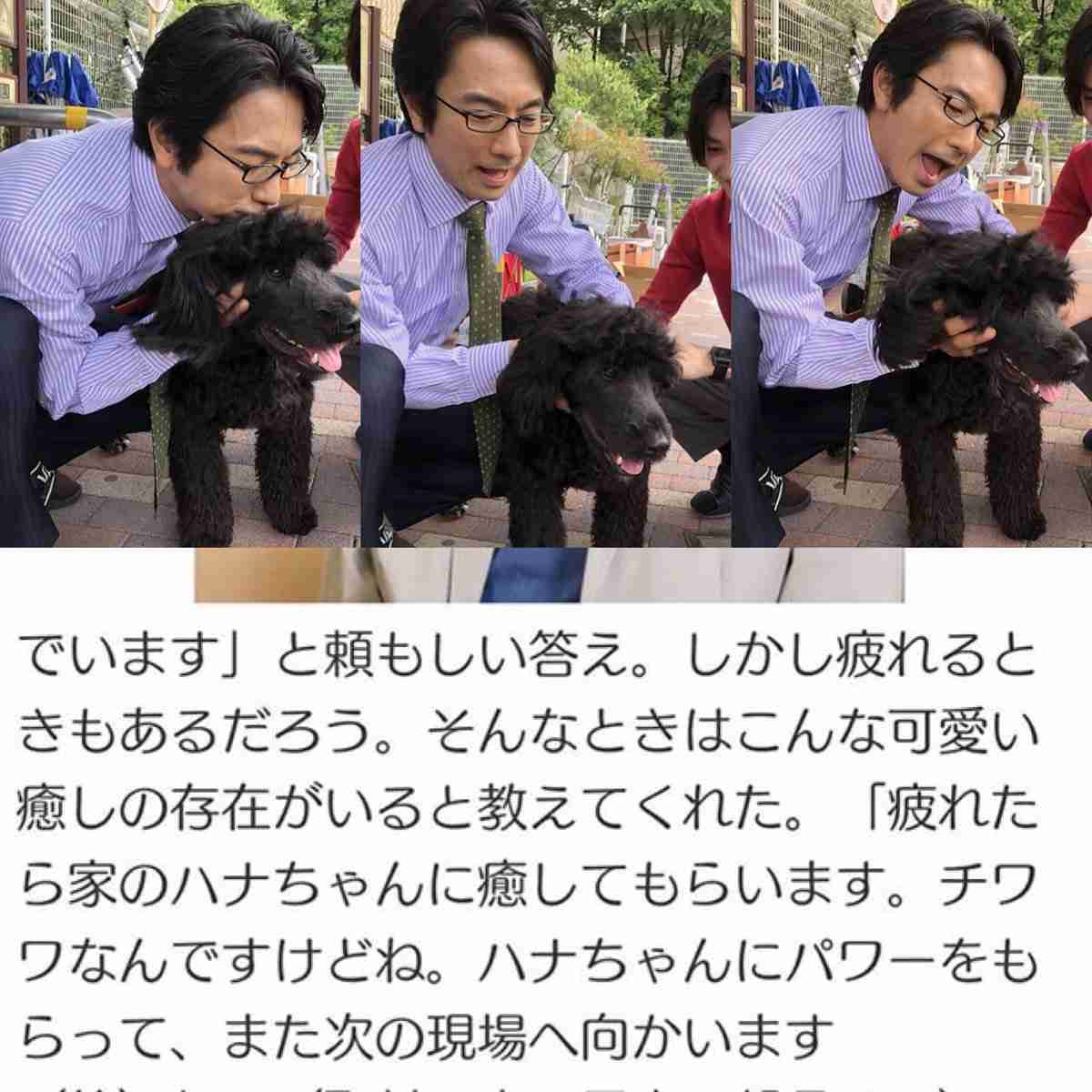 眞島秀和さんが好きな人！