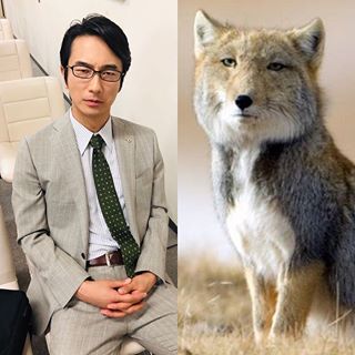 眞島秀和さんが好きな人！