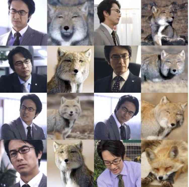 眞島秀和さんが好きな人！