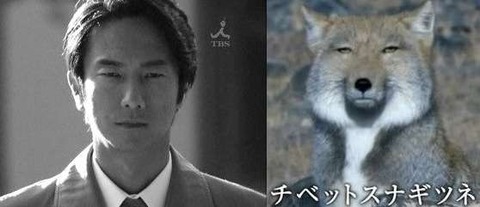 眞島秀和さんが好きな人！
