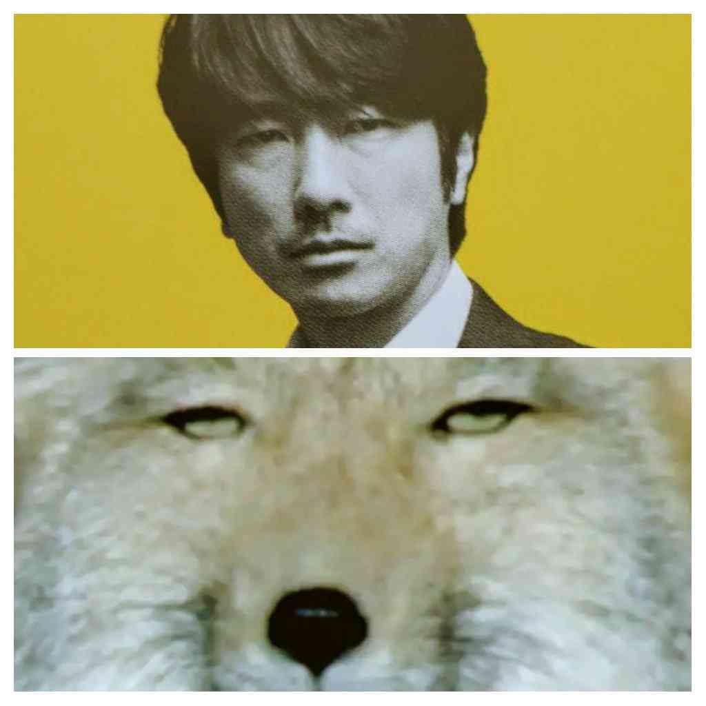 眞島秀和さんが好きな人！