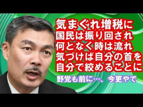 ［藤井聡］消費増税の地獄絵図　気づけば自分の首を自分で絞めるプレイをおかす国民性 - YouTube