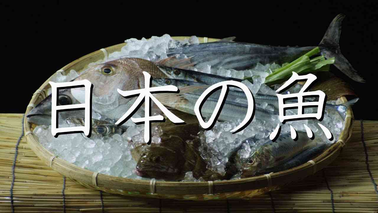打首獄門同好会「島国DNA」 - YouTube
