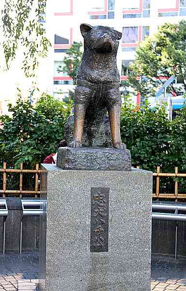 100年に一度の再開発で「渋谷のハチ公」どこへ行く？ 移転候補地は「2つ」