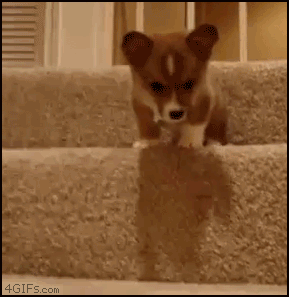 高所恐怖症がぞわっとするトピ