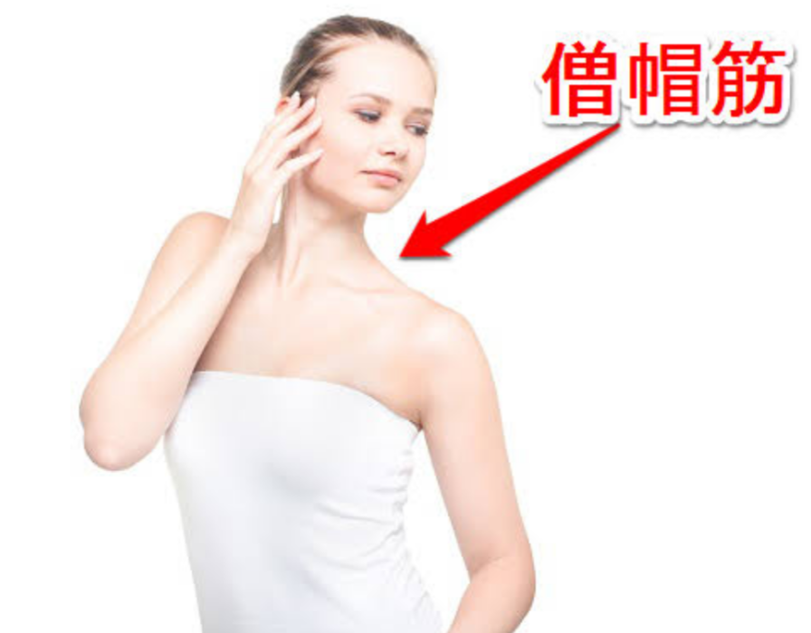 【首の付け根】僧帽筋がムキムキの人いますか【ベジータの如し】
