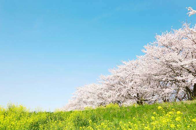 【今時】入社式に親【普通】