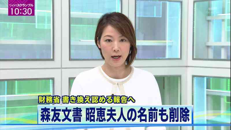 安倍首相が代表の選挙区支部 「桜を見る会」に旅費支出の疑い