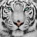 宇部虎 on Twitter: 