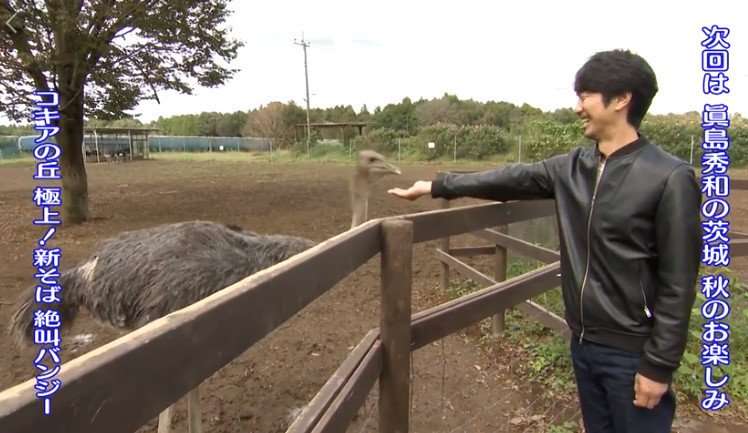 眞島秀和さんが好きな人！