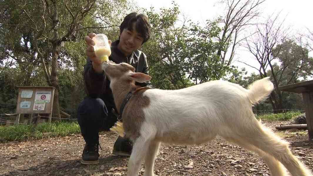 眞島秀和さんが好きな人！