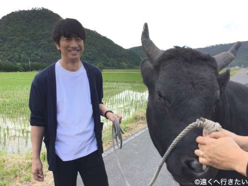 眞島秀和さんが好きな人！
