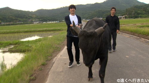 眞島秀和さんが好きな人！