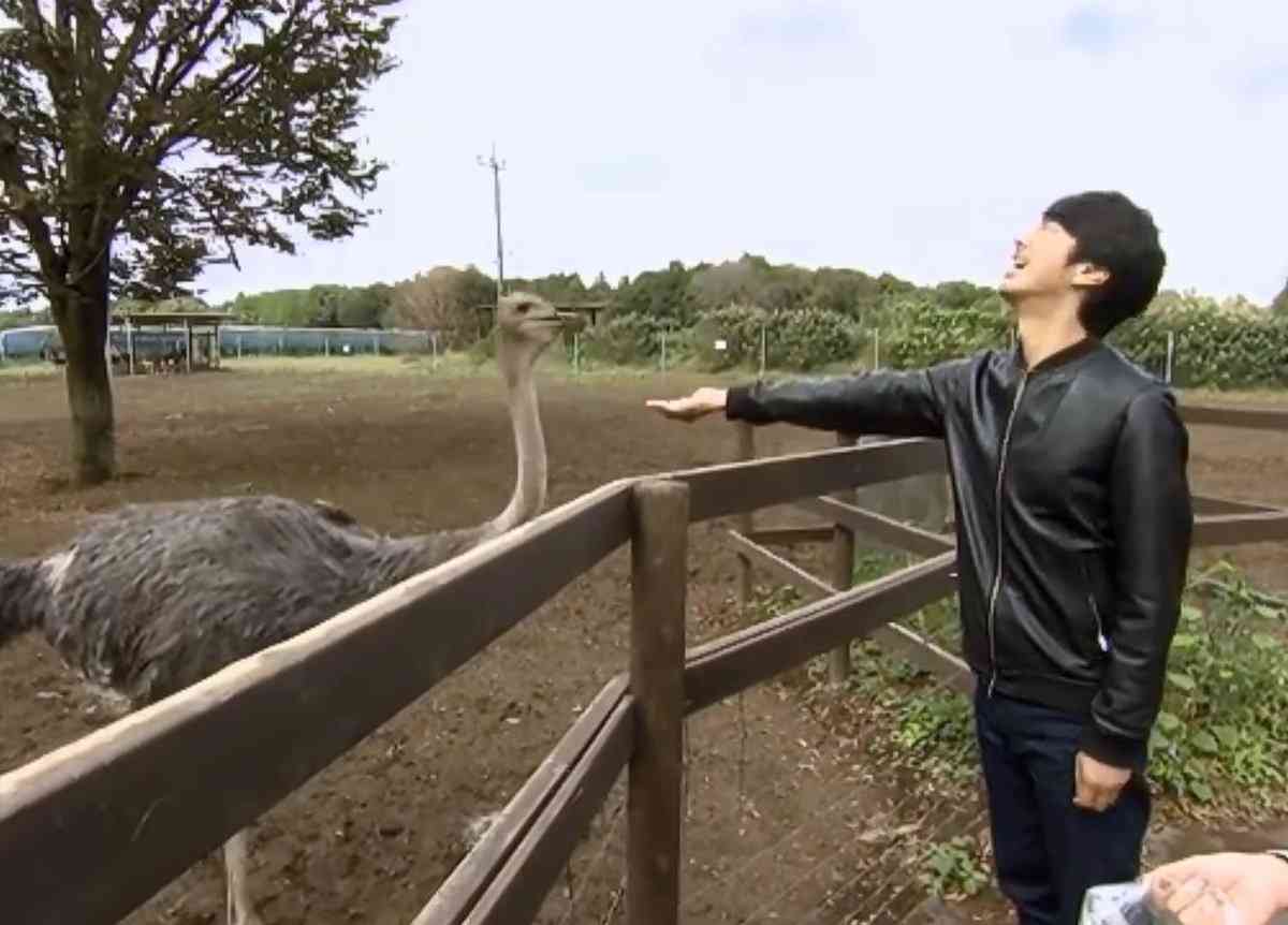 眞島秀和さんが好きな人！