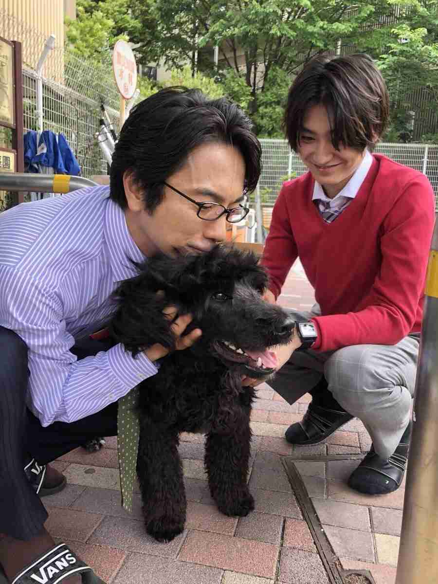 眞島秀和さんが好きな人！