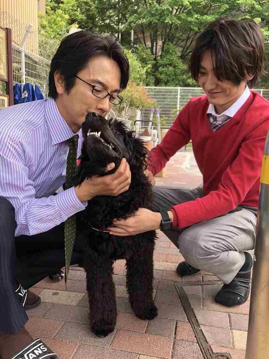 眞島秀和さんが好きな人！