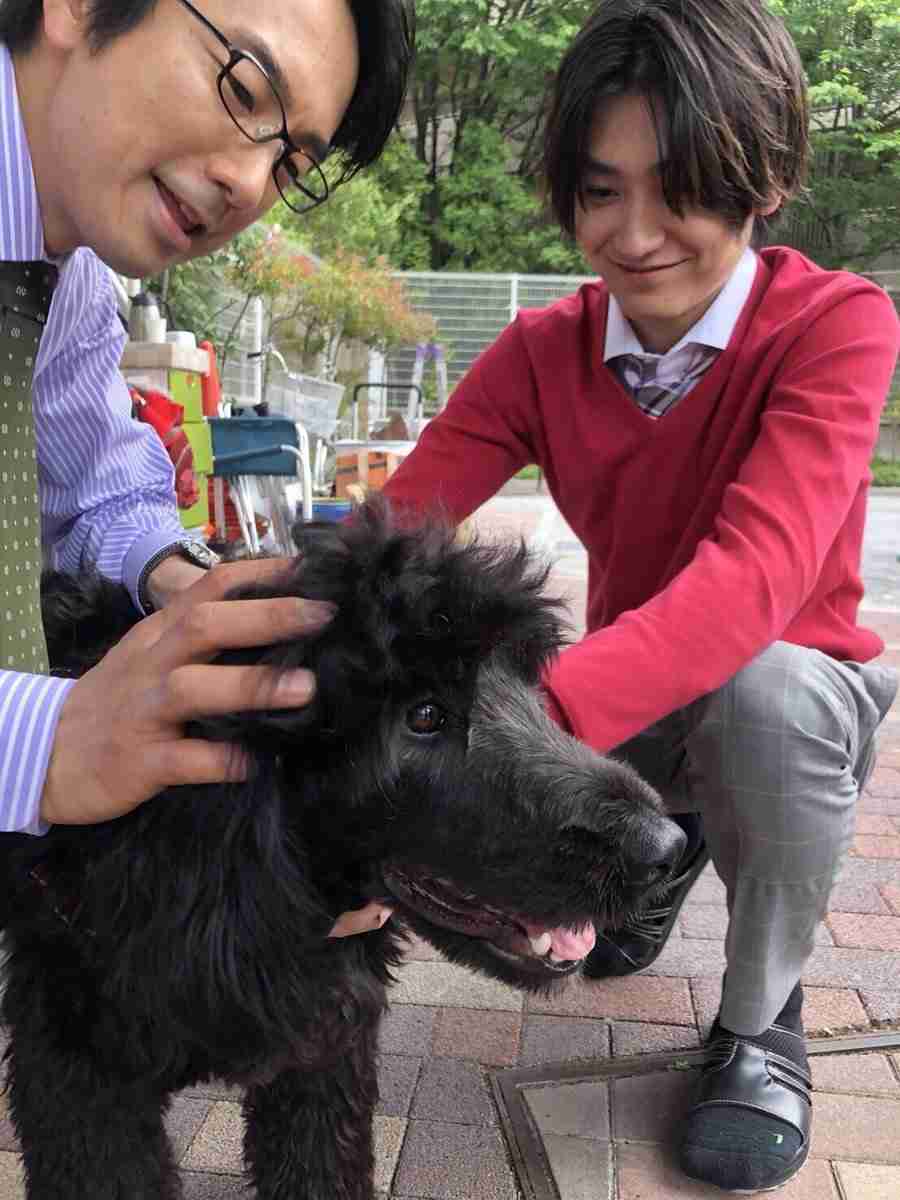 眞島秀和さんが好きな人！