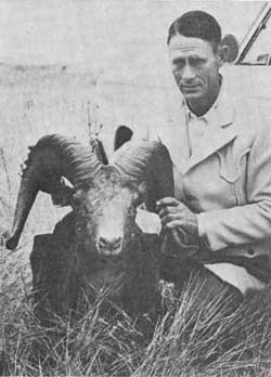 絶滅した動物の画像を貼るトピ