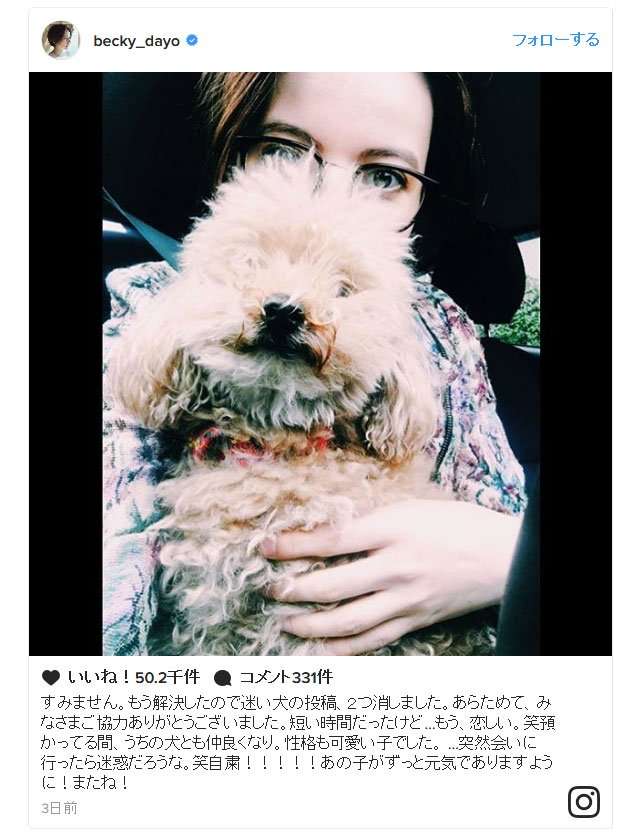 「ベッキーがインスタを使って迷い犬を助ける！」の美談にネットでは「やらせでは？」の声も…… – ガジェット通信 GetNews