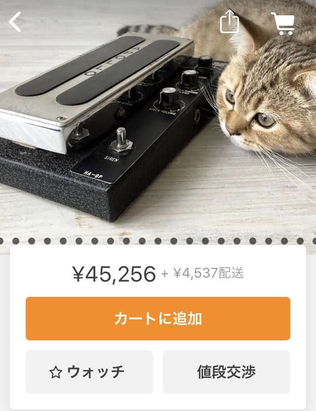 【画像】ネットでギターの機材を探していたら、ロシアの店はやり方が汚いという事実を発見してしまった…