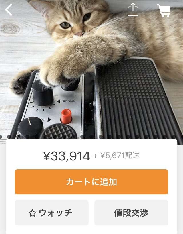 【画像】ネットでギターの機材を探していたら、ロシアの店はやり方が汚いという事実を発見してしまった…
