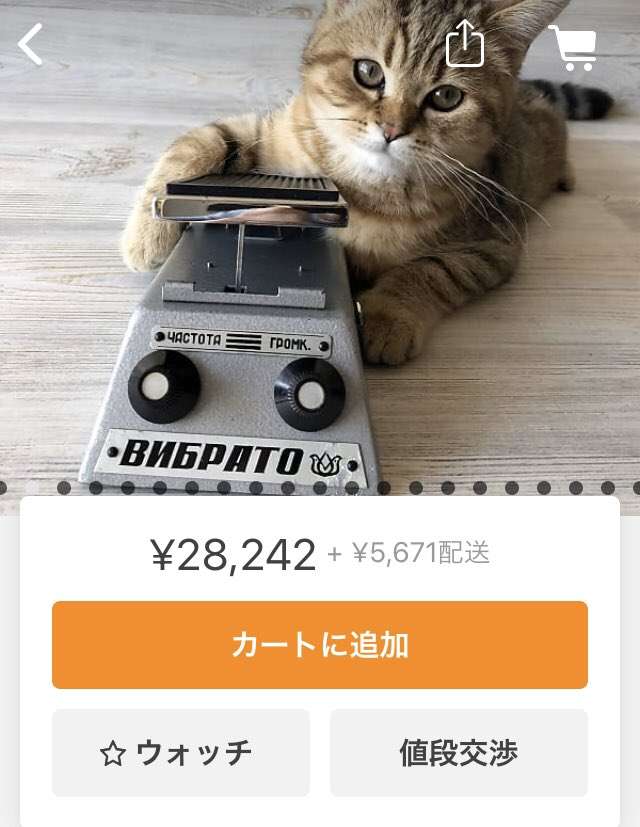 【画像】ネットでギターの機材を探していたら、ロシアの店はやり方が汚いという事実を発見してしまった…
