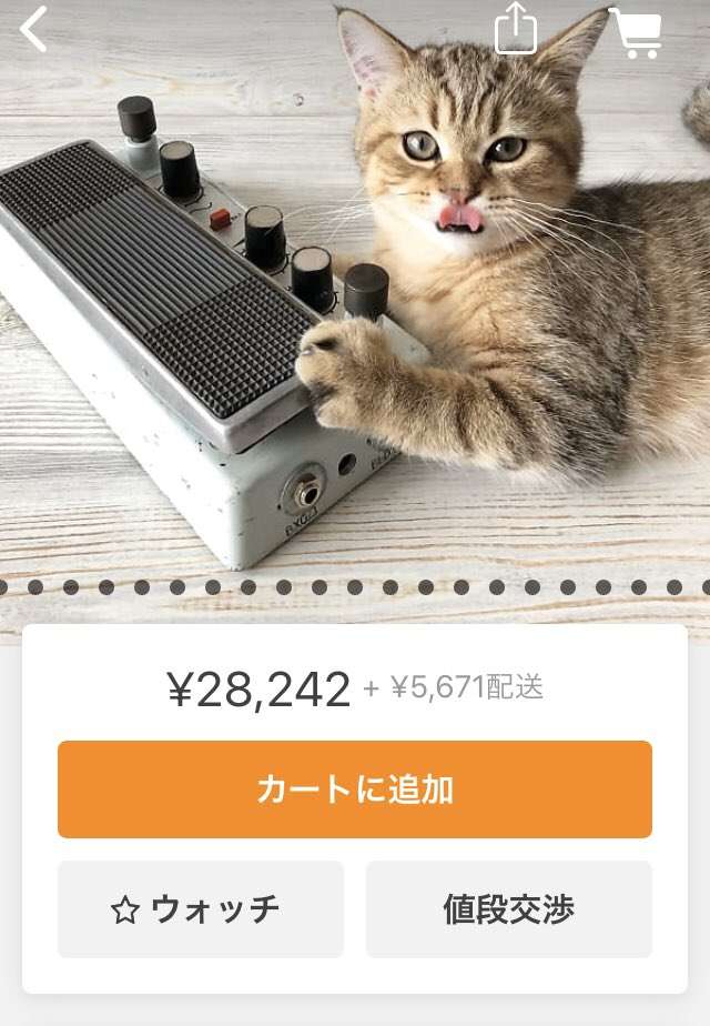 【画像】ネットでギターの機材を探していたら、ロシアの店はやり方が汚いという事実を発見してしまった…