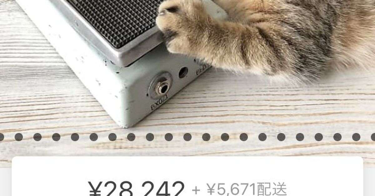 ネットでギターの機材を探していたら、ロシアの店はやり方が汚いという事実を発見してしまった「おそロシア」「アコギすぎる」 - Togetter