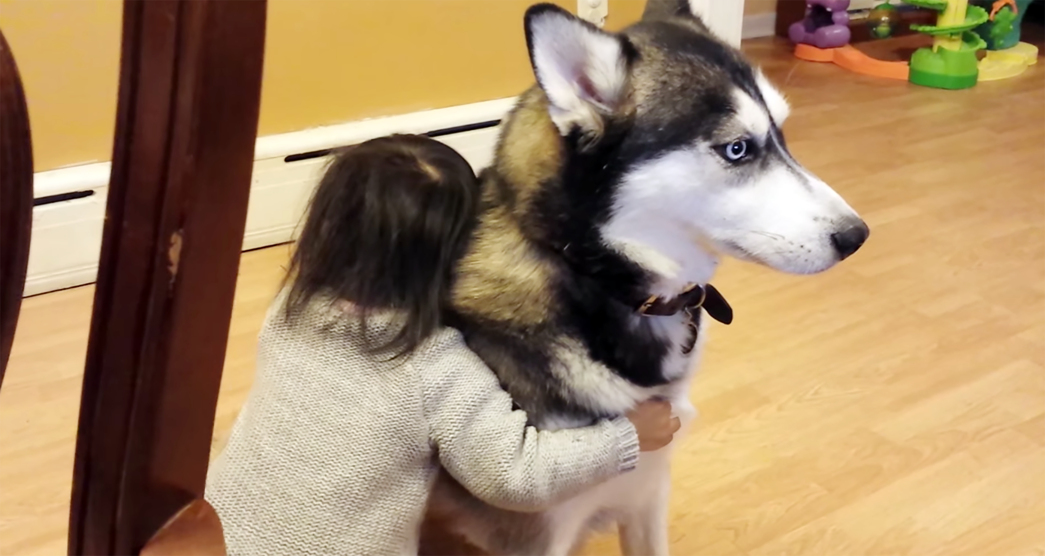 母親に捨てられたキリンの赤ちゃんが犬に甘える(南ア)