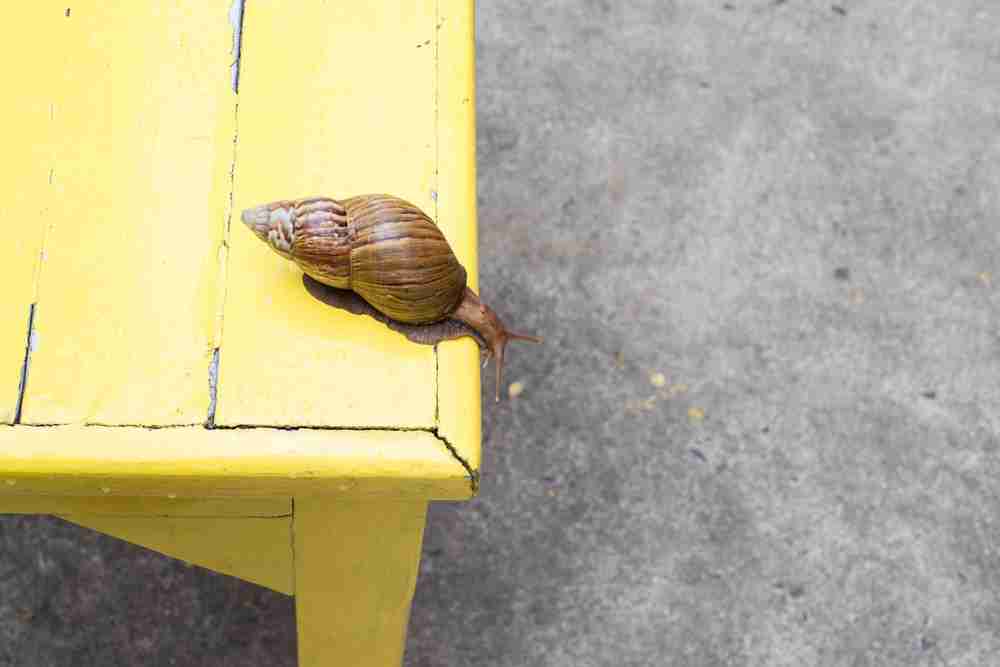 高所恐怖症がぞわっとするトピ