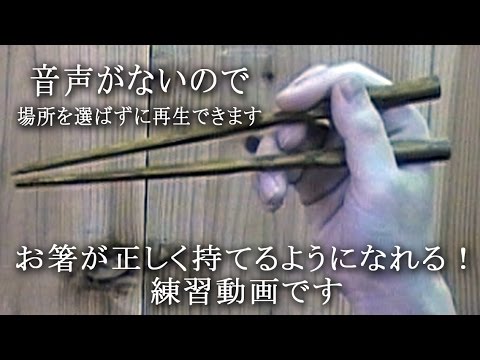 お箸の正しい持ち方　練習用動画　箸専門店　箸久 - YouTube